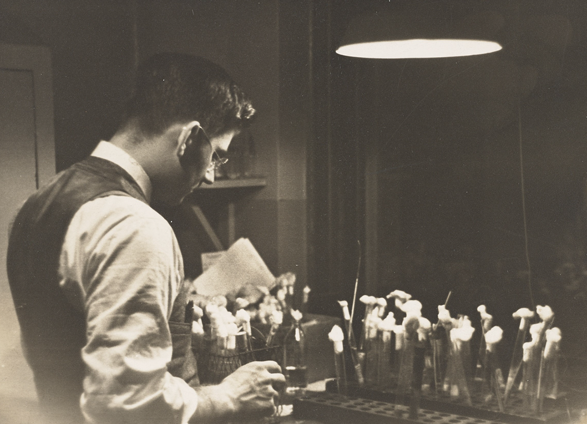 Altermeier Splash Image